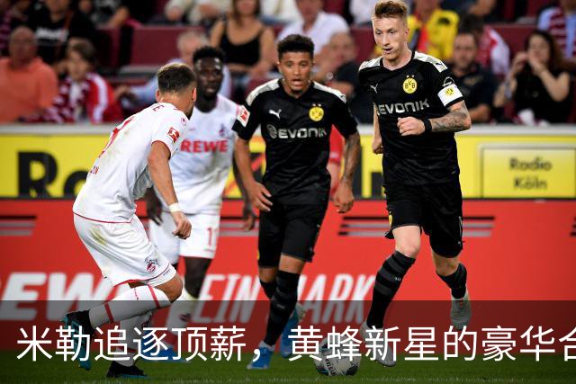 米勒追逐顶薪，黄蜂新星的豪华合同梦